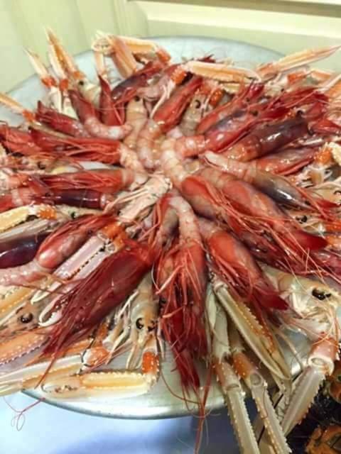 Dal Pescatore Appartamenti Savelletri Exterior foto